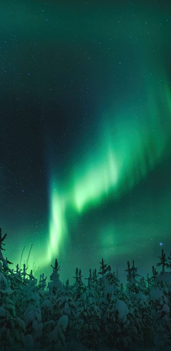 northern lights, night, green Wallpaper 1080x2220
