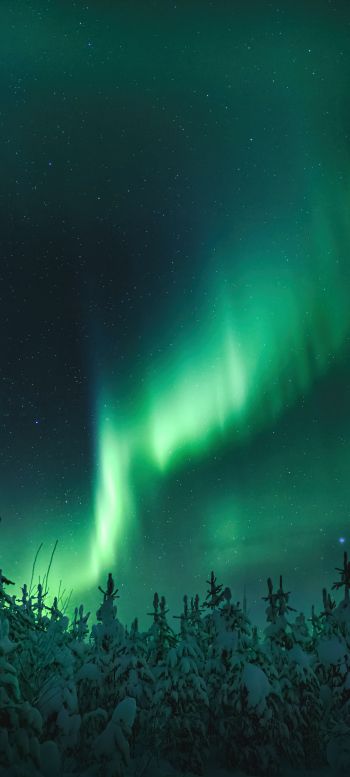 northern lights, night, green Wallpaper 720x1600