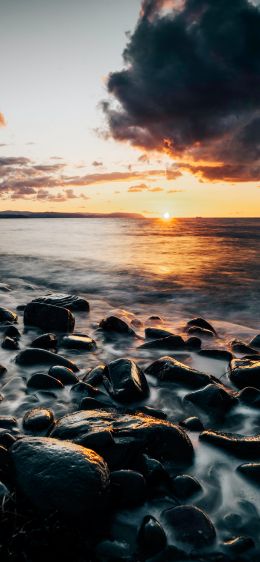 seashore, sunset, beach Wallpaper 1284x2778