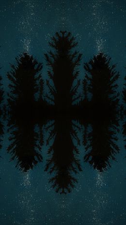 night forest, reflection, night Wallpaper 640x1136