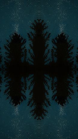 night forest, reflection, night Wallpaper 750x1334