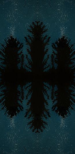 night forest, reflection, night Wallpaper 1440x2960