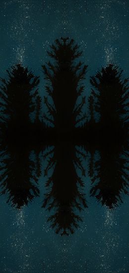 night forest, reflection, night Wallpaper 1080x2280
