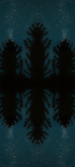 night forest, reflection, night Wallpaper 1080x2400