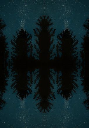 night forest, reflection, night Wallpaper 1668x2388