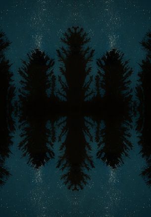 night forest, reflection, night Wallpaper 1640x2360