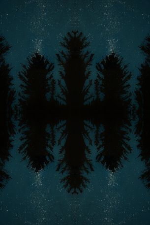 night forest, reflection, night Wallpaper 640x960