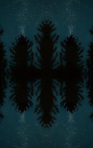 night forest, reflection, night Wallpaper 1752x2800