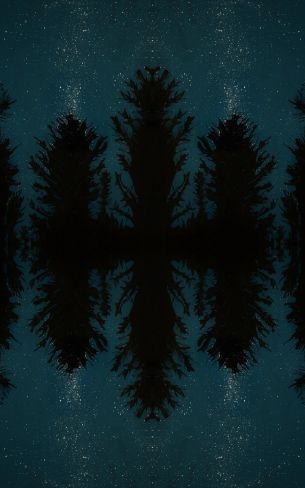 night forest, reflection, night Wallpaper 800x1280