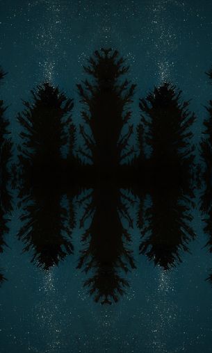 night forest, reflection, night Wallpaper 1200x2000