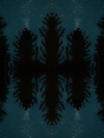 night forest, reflection, night Wallpaper 1536x2048