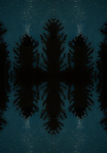 night forest, reflection, night Wallpaper 1640x2360