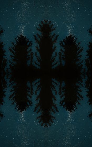 night forest, reflection, night Wallpaper 1752x2800