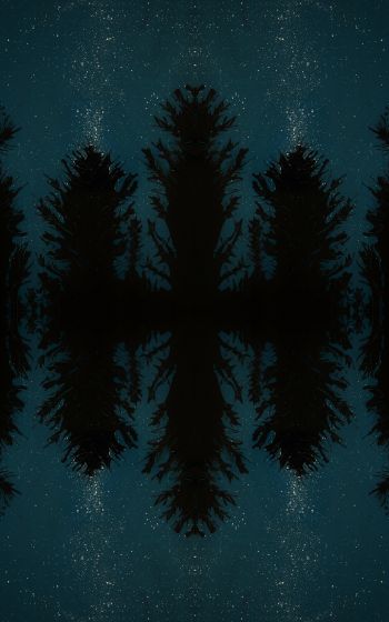 night forest, reflection, night Wallpaper 1600x2560