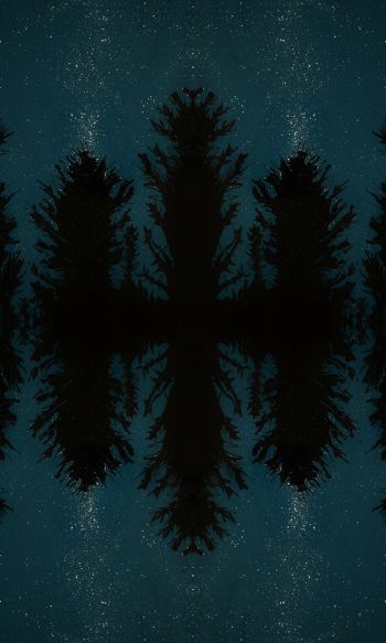night forest, reflection, night Wallpaper 1200x2000