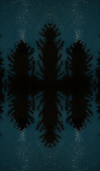 night forest, reflection, night Wallpaper 600x1024