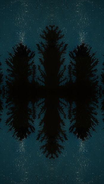 Обои 640x1136 ночной лес, отражение, ночь