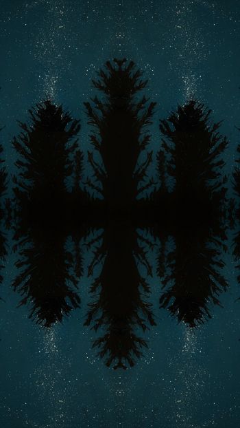 Обои 720x1280 ночной лес, отражение, ночь