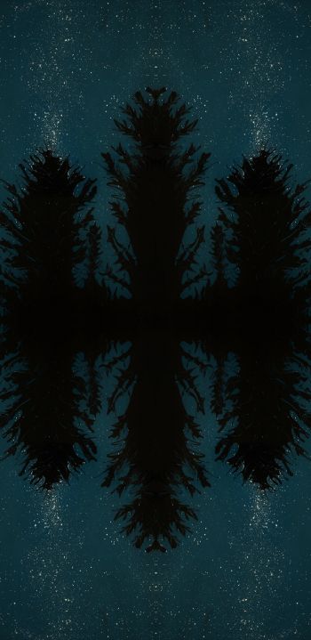 night forest, reflection, night Wallpaper 1440x2960