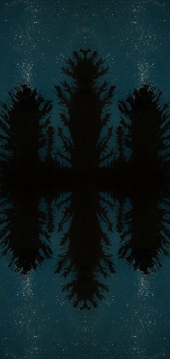 night forest, reflection, night Wallpaper 1440x3040