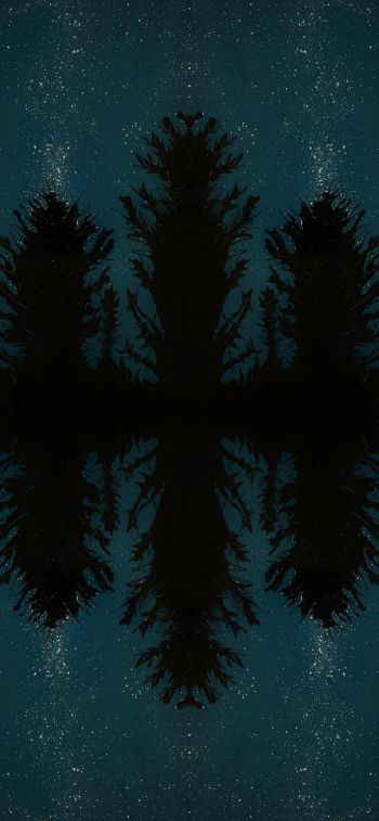 night forest, reflection, night Wallpaper 1125x2436