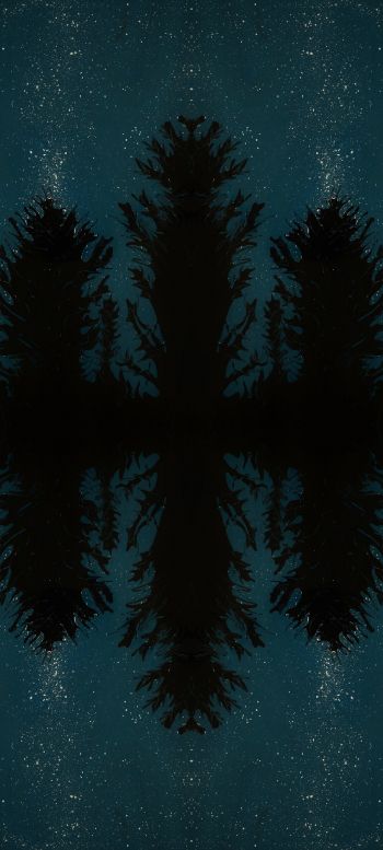 night forest, reflection, night Wallpaper 1440x3200