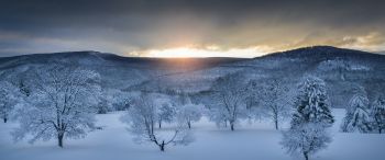 winter forest, sunset, winter Wallpaper 3440x1440