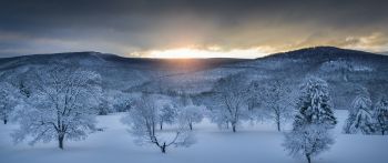 winter forest, sunset, winter Wallpaper 2560x1080
