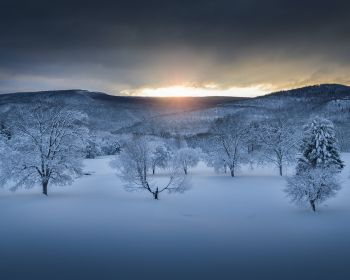 winter forest, sunset, winter Wallpaper 1280x1024