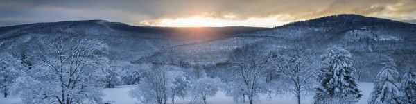winter forest, sunset, winter Wallpaper 1590x400