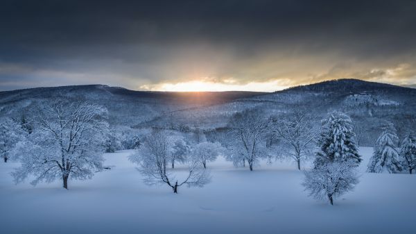 Обои 1920x1080 зимний лес, закат, зима