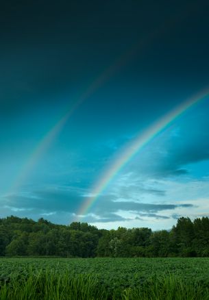 rainbow, landscape, blue sky Wallpaper 1640x2360