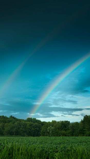 rainbow, landscape, blue sky Wallpaper 640x1136