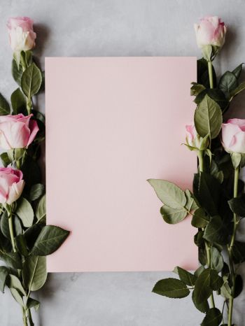 valentine, pink roses, flower arrangement Wallpaper 1620x2160