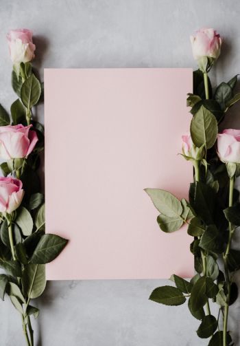 valentine, pink roses, flower arrangement Wallpaper 1640x2360