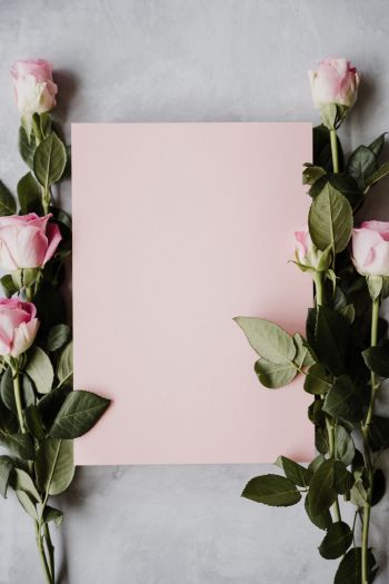 Обои 640x960 валентинка, розовые розы, цветочная композиция