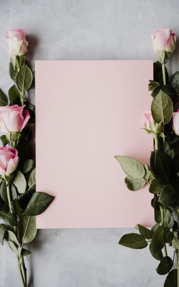 valentine, pink roses, flower arrangement Wallpaper 1600x2560