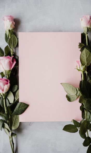 valentine, pink roses, flower arrangement Wallpaper 1200x2000