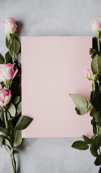 Обои 600x1024 валентинка, розовые розы, цветочная композиция