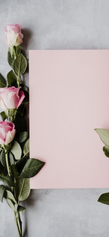 Обои 1080x2340 валентинка, розовые розы, цветочная композиция