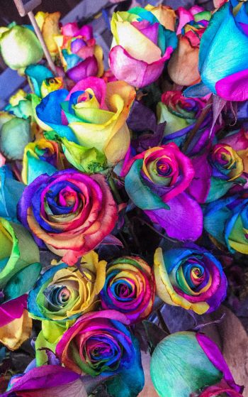 Обои 1752x2800 разноцветные розы, цветочная композиция, букет роз