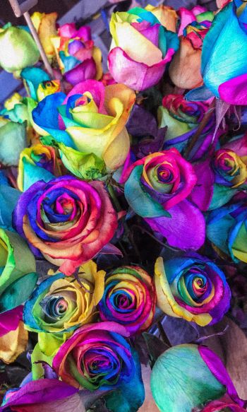 Обои 1200x2000 разноцветные розы, цветочная композиция, букет роз