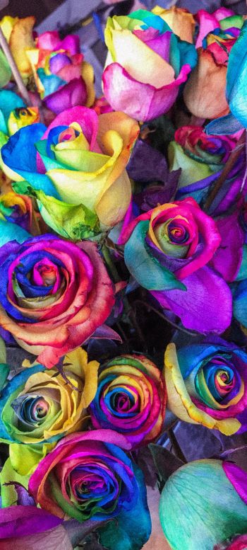 Обои 720x1600 разноцветные розы, цветочная композиция, букет роз