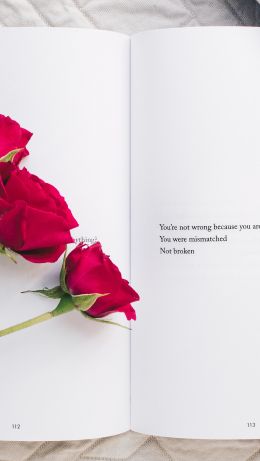 Обои 640x1136 эстетика, красные розы, книга
