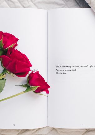 Обои 1668x2388 эстетика, красные розы, книга