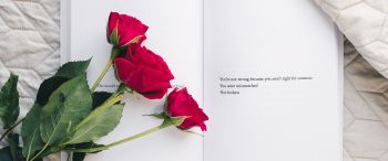 Обои 3440x1440 эстетика, красные розы, книга