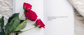 Обои 2560x1080 эстетика, красные розы, книга