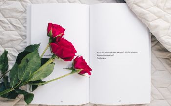 Обои 1920x1200 эстетика, красные розы, книга