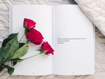 Обои 800x600 эстетика, красные розы, книга