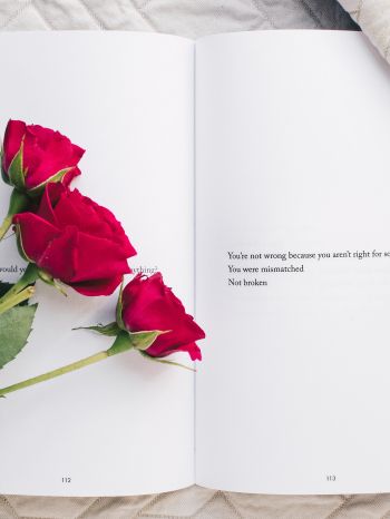 Обои 2048x2732 эстетика, красные розы, книга